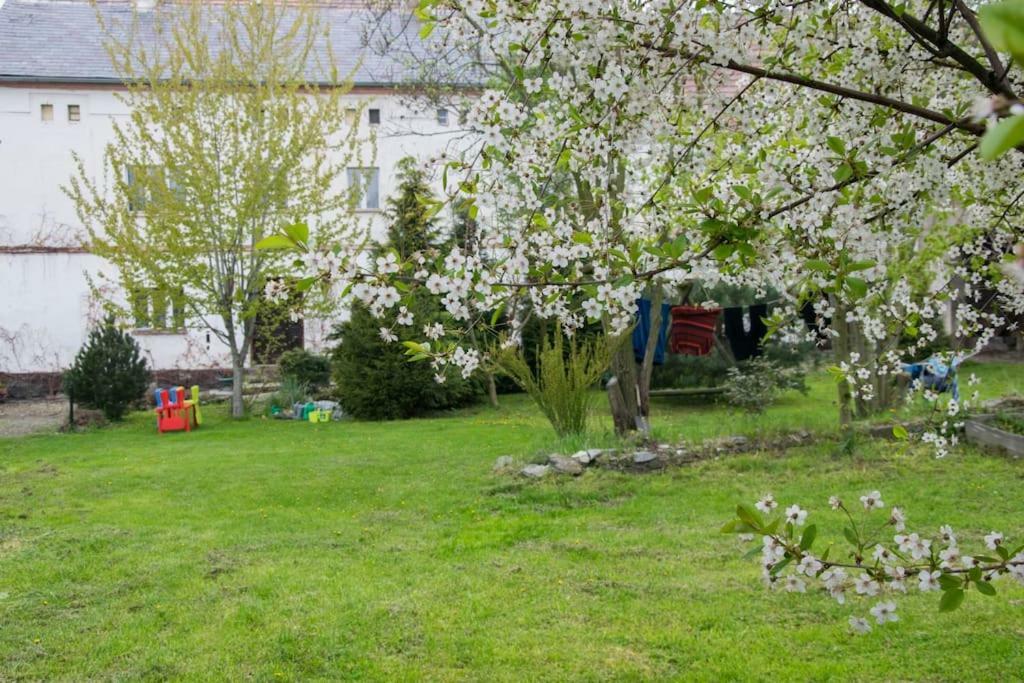 Gospodarstwo U Krakusa Doboszowice ภายนอก รูปภาพ