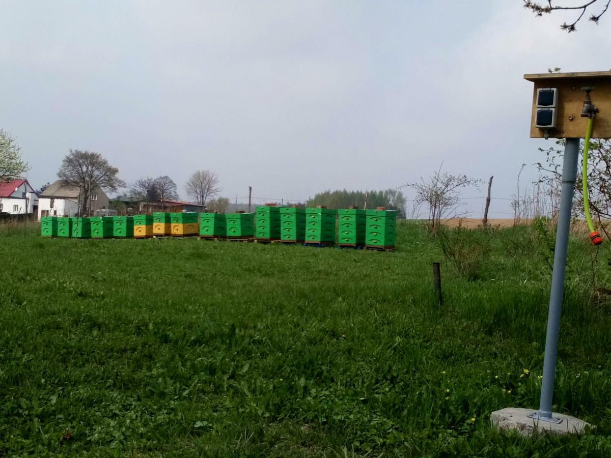 Gospodarstwo U Krakusa Doboszowice ภายนอก รูปภาพ